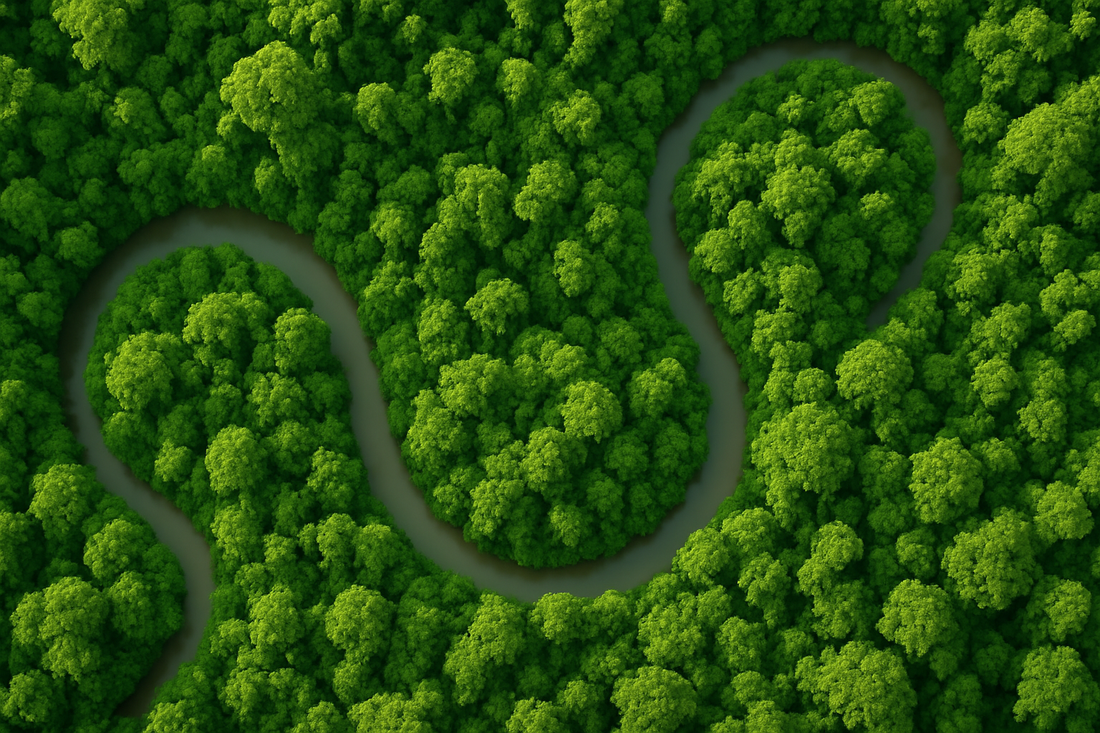 Tackling Microplastic Pollution from Paint at the Source